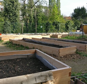 JARDIN PARTAGE FELICIE HERVIEU - MA VILLE EN VERT 92 600 JARDIN PARTAGE FELICIE HERVIEU - MA VILLE EN VERT 92 600